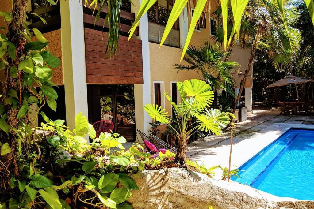 Steps To Ocean Huge Private Pool In Exclusive Fase 1 Playacar Villa