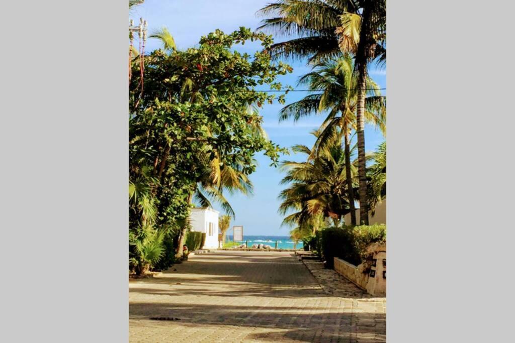 Steps To Ocean Huge Private Pool In Exclusive Fase 1 Playacar *